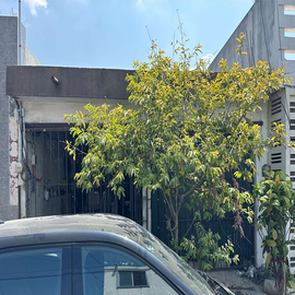 Foto de casa en renta en avenida los reales , los reales sector 2, san nicolás de los garza, nuevo león, 0 No. 01