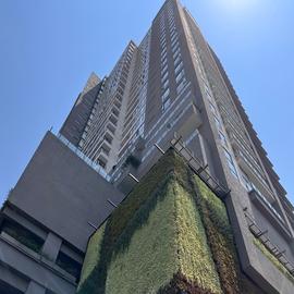 Foto de departamento en venta en boulevard adolfo ruiz cortines , jardines del pedregal, álvaro obregón, df / cdmx, 30213717 No. 01