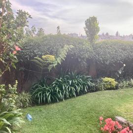 Foto de casa en venta en buharros , lomas de las águilas, álvaro obregón, df / cdmx, 0 No. 01