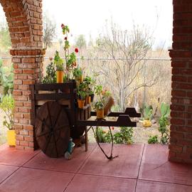 Foto de casa en renta en  , campestre lomas del sur, romita, guanajuato, 0 No. 01