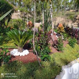 Foto de casa en venta en carretera chilpancingo acapulco , cajelitos, chilpancingo de los bravo, guerrero, 0 No. 01