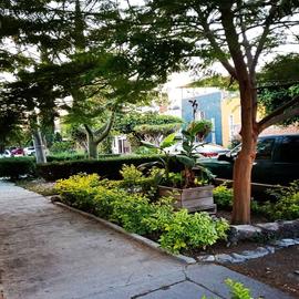 Foto de casa en renta en cisnes , álamos 3a secc, celaya, guanajuato, 29047236 No. 01