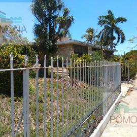 Foto de casa en renta en  , colonial buenavista, mérida, yucatán, 11231788 No. 01