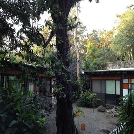 Foto de casa en renta en  , comala, comala, colima, 0 No. 01