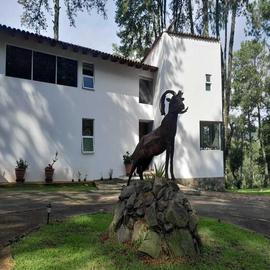 Foto de casa en venta en  , concepción de buenos aires, concepción de buenos aires, jalisco, 0 No. 01