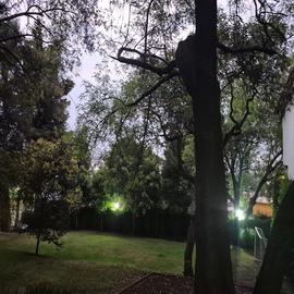 Foto de casa en renta en cruz verde , san nicolás totolapan, la magdalena contreras, df / cdmx, 31114976 No. 01