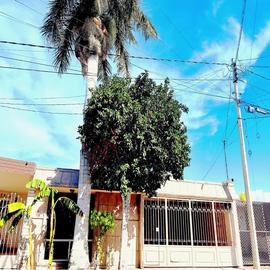 Foto de casa en venta en de los castaños 41, los nogales, torreón, coahuila de zaragoza, 29449673 No. 01