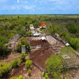 Foto de casa en venta en  , dzilam gonzalez, dzilam gonzález, yucatán, 0 No. 01