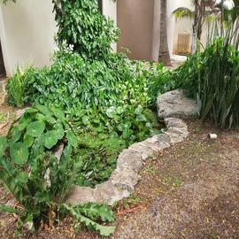 Foto de casa en venta en  , dzitya, mérida, yucatán, 0 No. 08