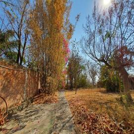 Foto de casa en venta en  , el rodeo, miacatlán, morelos, 28948851 No. 01