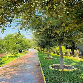 Foto de casa en venta en  , el tule, salinas victoria, nuevo león, 0 No. 01