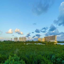 Foto de departamento en venta en ensenada , supermanzana 84, benito juárez, quintana roo, 0 No. 01