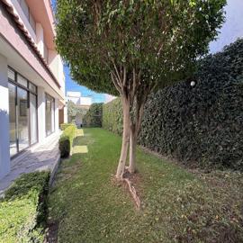 Foto de Casa en Fleming 111, Polanco, San Luis Potosí, San Luis Potosí, 29361808