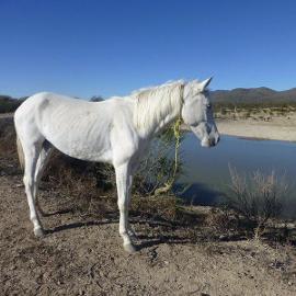 Foto de casa en venta en  , galeana, galeana, nuevo león, 6839874 No. 01