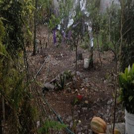 Foto de casa en venta en hermenegildo galeana 71, cuparátaro, tarímbaro, michoacán de ocampo, 0 No. 01