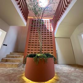 Foto de casa en venta en . , hipódromo condesa, cuauhtémoc, df / cdmx, 0 No. 01