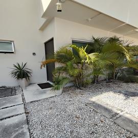 Foto de casa en renta en  , industrial, solidaridad, quintana roo, 0 No. 01