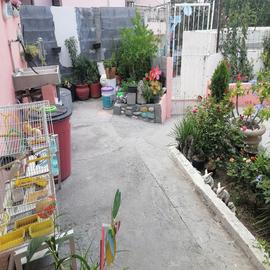 Foto de casa en venta en  , jesús m garza, san pedro garza garcía, nuevo león, 0 No. 01