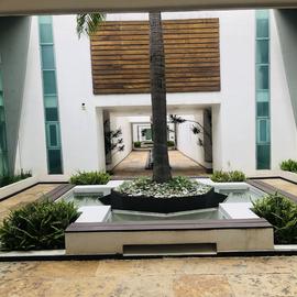 Foto de casa en renta en josé maría ibarrarán , san josé insurgentes, benito juárez, df / cdmx, 0 No. 01