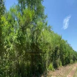 Foto de casa en venta en  , la esperanza, cadereyta jiménez, nuevo león, 0 No. 01
