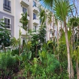 Foto de departamento en renta en  , la veleta, tulum, quintana roo, 0 No. 01