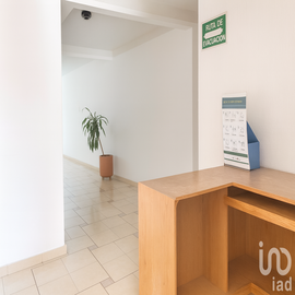 Foto de casa en renta en las palmas 673, bellavista, cuernavaca, morelos, 30651752 No. 01