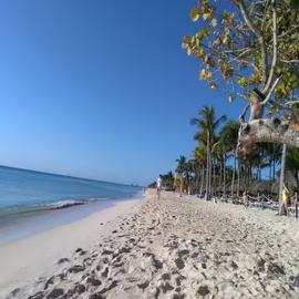 Foto de departamento en renta en loltun cerca xcalacoco , loltun, solidaridad, quintana roo, 0 No. 01