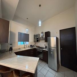 Foto de departamento en renta en  , lomas del campestre, san pedro garza garcía, nuevo león, 0 No. 01