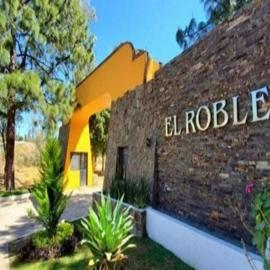 Foto principal de casa en venta en los jardines # 50, emiliano zapata 28716509.