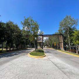 Foto de casa en renta en  , luis donaldo colosio, solidaridad, quintana roo, 30936332 No. 01