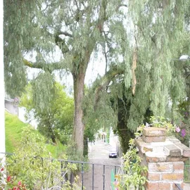 Foto de casa en renta en niños héroes , santa maría tepepan, xochimilco, df / cdmx, 30332869 No. 01