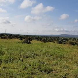 Foto de casa en venta en  , pabellón de hidalgo, rincón de romos, aguascalientes, 11233305 No. 01