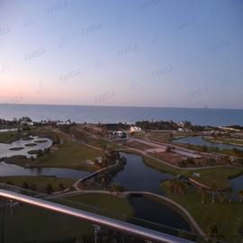 Foto de departamento en renta en  , palmira, carmen, campeche, 26490325 No. 01