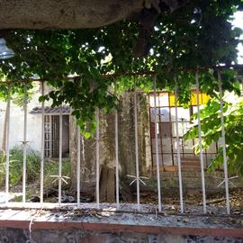 Foto de casa en venta en paseo del poso , las fincas, jiutepec, morelos, 17008175 No. 01