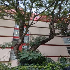 Foto de departamento en venta en periférico sur , fuentes del pedregal, tlalpan, df / cdmx, 30300457 No. 01