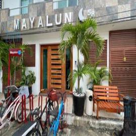 Foto de departamento en renta en  , playa del carmen centro, solidaridad, quintana roo, 0 No. 01