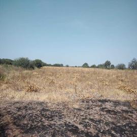 Foto de casa en venta en principal , la d, pedro escobedo, querétaro, 0 No. 01