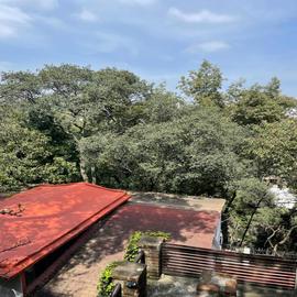 Foto de casa en renta en privada de los cedros 82 bis, villa verdún, álvaro obregón, df / cdmx, 0 No. 01