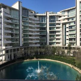 Foto de departamento en renta en  , punto central, san pedro garza garcía, nuevo león, 0 No. 01