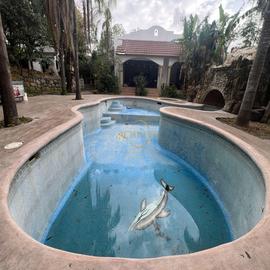 Foto de casa en venta en  , rancho viejo, juárez, nuevo león, 0 No. 01