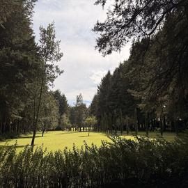 Foto de casa en renta en rosario , santa maría jajalpa, tenango del valle, méxico, 0 No. 01