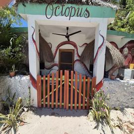 Foto de casa en renta en  , san crisanto, sinanché, yucatán, 0 No. 01