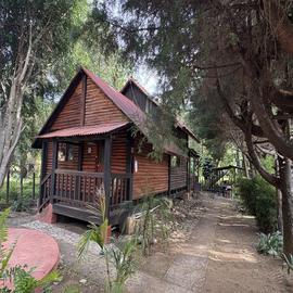 Foto de casa en renta en  , san francisco mihualtepec, donato guerra, méxico, 0 No. 01