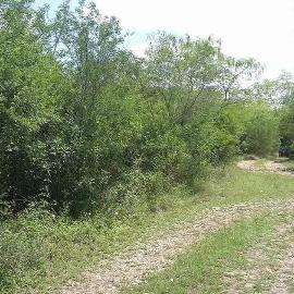 Foto de casa en venta en  , san miguel, montemorelos, nuevo león, 11736703 No. 01