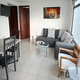 Foto de departamento en renta en  , santa ana tlapaltitlán, toluca, méxico, 0 No. 01