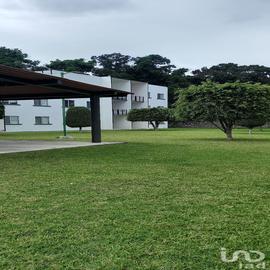 Foto de departamento en renta en sección 6 124, villas jazmín, yautepec, morelos, 31028383 No. 01