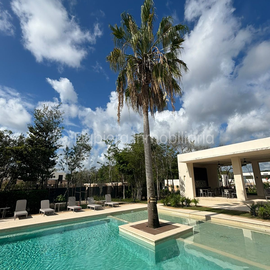 Foto de casa en renta en s/n , supermanzana 237, benito juárez, quintana roo, 0 No. 01