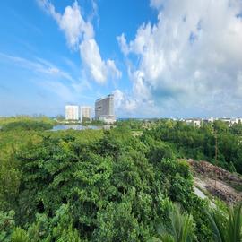 Foto de departamento en venta en  , supermanzana 84, benito juárez, quintana roo, 29097990 No. 01