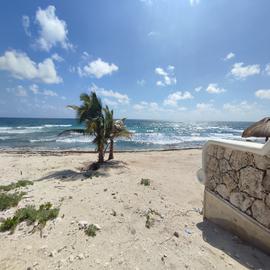 Foto de casa en venta en tankah cuatro whi290300, tankah cuatro, tulum, quintana roo, 25751539 No. 01