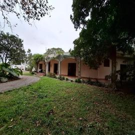 Foto de casa en renta en  , tepic centro, tepic, nayarit, 0 No. 01